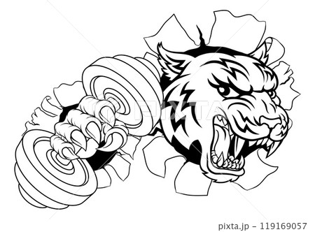 Tiger Weight Lifting Dumbbell Gym Animal Mascot 119169057