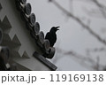 瓦に止まっているカラス 119169138