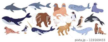 Antarctic wildlife. Blue whale. Snow winter animal. Ice sea fish. Ocean narwhal. Antarctica penguin. Arctic aquatic mammal. Alaska bear. Wild orca and seal. North Pole. Vector tidy polar creatures set 119169433