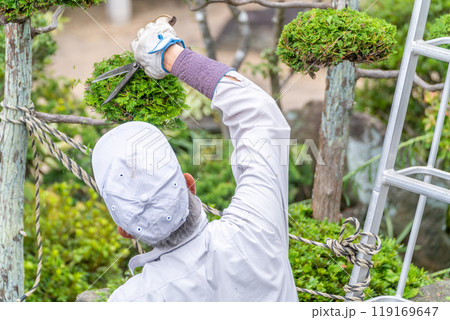 働く高齢者　地域社会に　貢献　庭木の剪定サービス 119169647