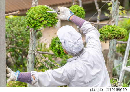 働く高齢者　地域社会に　貢献　庭木の剪定サービス 119169650