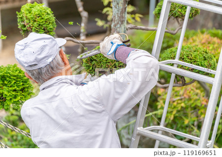 働く高齢者 地域社会に 貢献 庭木の剪定サービス 働く高齢者 地域社会に 貢献 庭木の剪定サービス 119169651