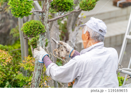 働く高齢者 地域社会に 貢献 庭木の剪定サービス 働く高齢者 地域社会に 貢献 庭木の剪定サービス 119169655