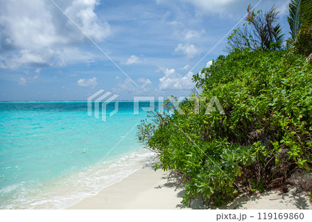 Explore the serene beauty of Maldives turquoise waters and lush greenery on a tranquil beach day Explore the serene beauty of Maldives turquoise waters and lush greenery on a tranquil beach day 119169860