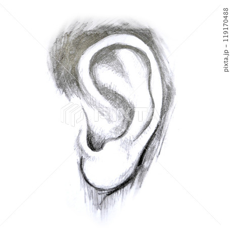 Hand illustration ear. isolated on white background Hand illustration ear. isolated on white background 119170488