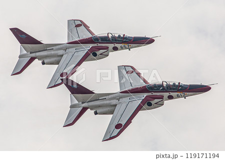 大空を飛ぶレッドドルフィン 119171194