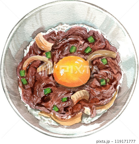 gyudon beef rice bowl with york eeg, hand-drawn watercolor illustration 119171777