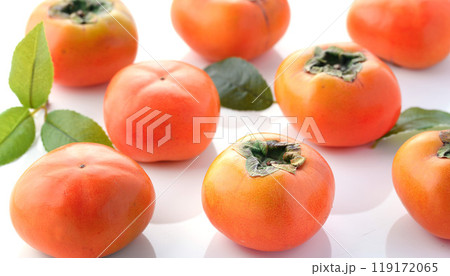 秋の味覚 柿 （ 白背景 ） 119172065