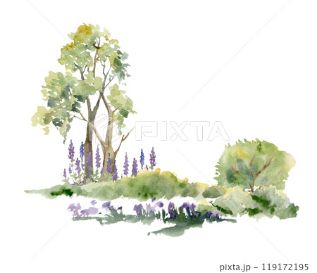 Scenery landscape of northern forest meadow grassland with bushes lupin flowers, lush green foliage tree, watercolor hand drawn. Illustration for tourism, resort ads, hiking camping sites, vacation. 119172195