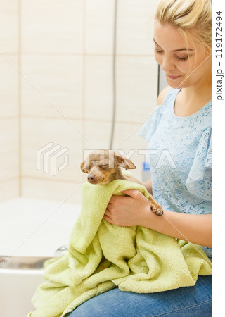 Woman drying dog after bath 119172494