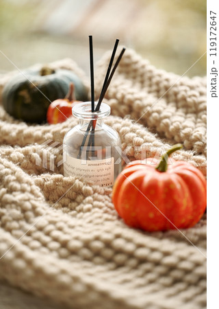 自然 天然 ナチュラル 119172647