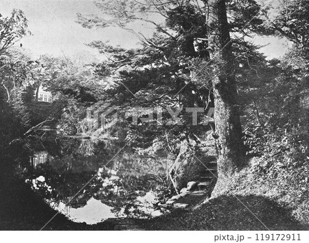明治時代の日本　東京大学　庭園 119172911