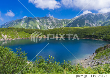 みくりが池の風景 みくりが池の風景 119173177