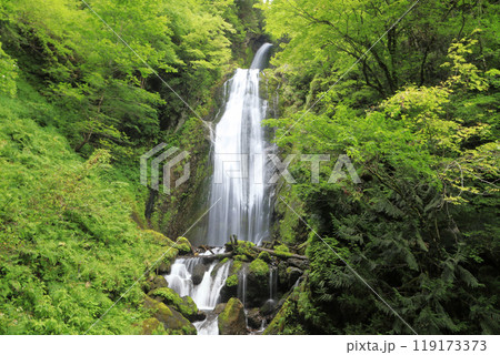 田沢湖抱返り県立自然公園 回顧の滝 田沢湖抱返り県立自然公園 回顧の滝 119173373