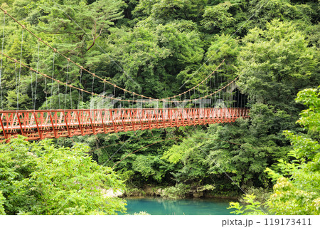 田沢湖抱返り県立自然公園　神の岩橋 119173411
