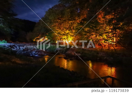 夜の川辺の遊歩道(音信川) 夜の川辺の遊歩道(音信川) 119173839