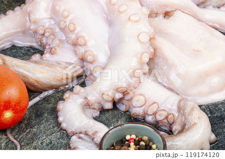 Fresh raw octopus cuttlefish ocean gourmet Fresh raw octopus cuttlefish ocean gourmet 119174120
