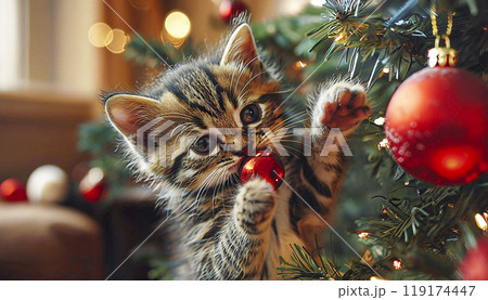 Tabby kitten playing with red Christmas ornament on decorated tree Festive mood and Christmas spirit 119174447