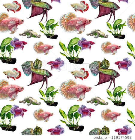 green betta pattern siamese wild bettas watercolor painting hand-drawn illustration 119174598