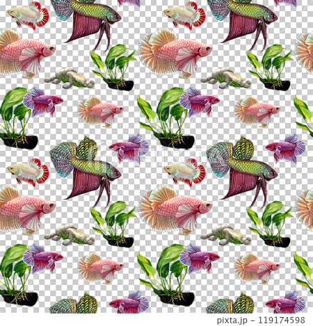green betta pattern siamese wild bettas watercolor painting hand-drawn illustration 119174598