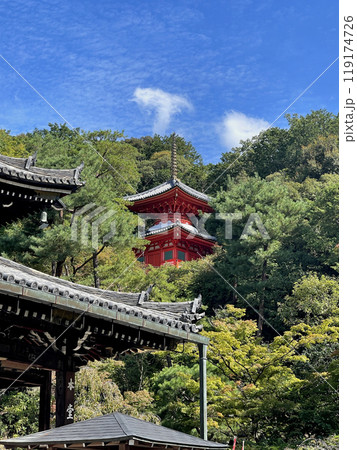 京都 東山 今熊野観音寺 医聖堂 京都 東山 今熊野観音寺 医聖堂 119174726