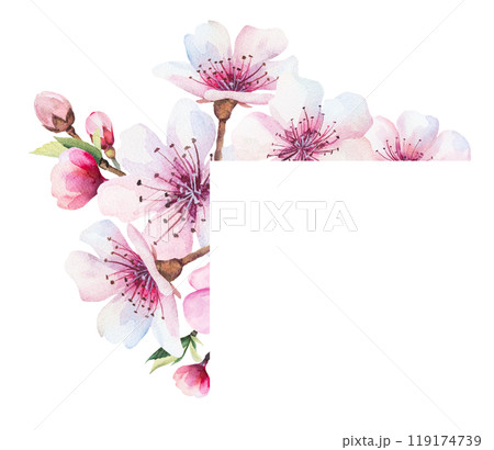 Frame with watercolor pink cherry flowers and green leaves, wedding sakura isolated illustration Frame with watercolor pink cherry flowers and green leaves, wedding sakura isolated illustration 119174739