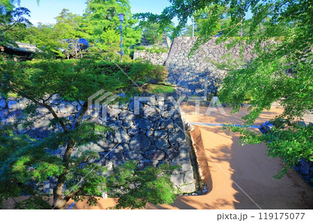 【三重県】晴天の松阪城址（殿町公園） 119175077