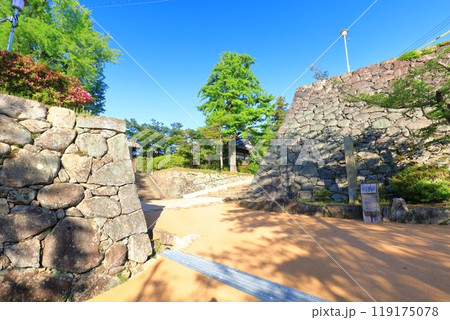 【三重県】晴天の松阪城址（殿町公園） 119175078