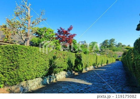 【三重県】晴天の松阪公園の御城番屋敷（殿町公園） 119175082