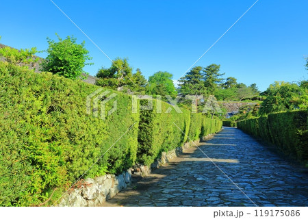 【三重県】晴天の松阪公園の御城番屋敷（殿町公園） 119175086
