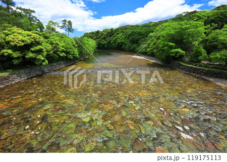 【三重県】晴天の伊勢神宮の五十鈴川　 119175113