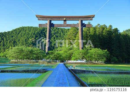 【和歌山県】快晴の大斎原の大鳥居（熊野本宮大社） 119175116