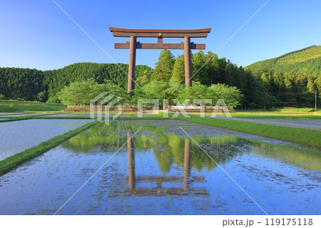【和歌山県】快晴の大斎原の大鳥居（熊野本宮大社） 119175118