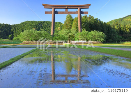 【和歌山県】快晴の大斎原の大鳥居（熊野本宮大社） 119175119
