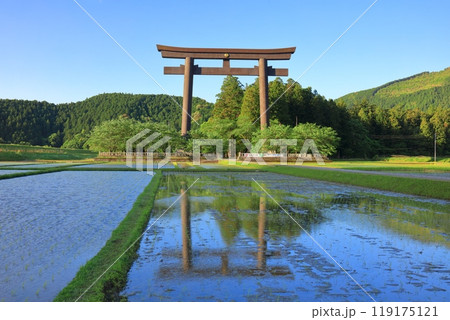 【和歌山県】快晴の大斎原の大鳥居（熊野本宮大社） 119175121