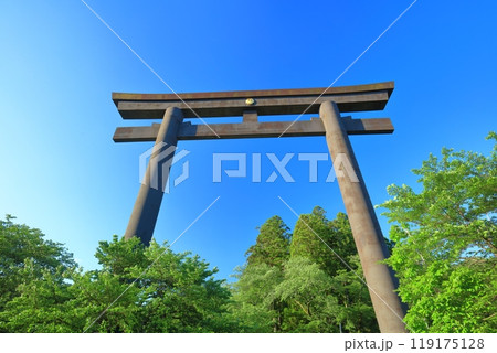 【和歌山県】快晴の大斎原の大鳥居（熊野本宮大社） 119175128