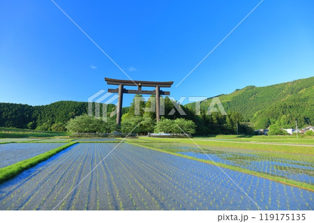 【和歌山県】快晴の大斎原の大鳥居(熊野本宮大社) 【和歌山県】快晴の大斎原の大鳥居(熊野本宮大社) 119175135