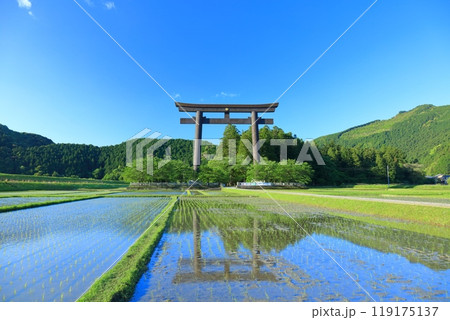 【和歌山県】快晴の大斎原の大鳥居（熊野本宮大社） 119175137