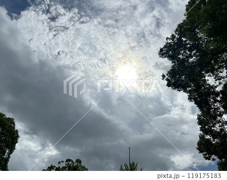 119175183