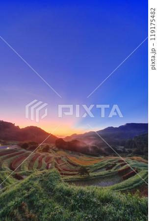 霧がかかる朝焼けの大山千枚田 119175482