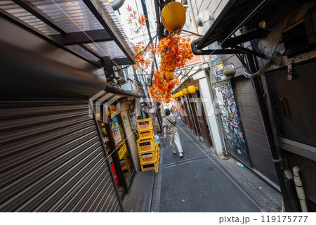 新宿思い出横丁 新宿思い出横丁 119175777