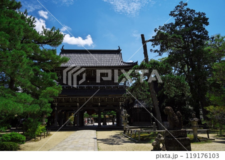 夏の天橋立　智恩寺の三門「黄金閣」 119176103