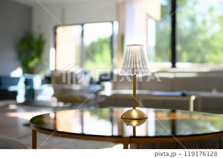 部屋での写真 119176128