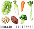 冬の野菜 119176654
