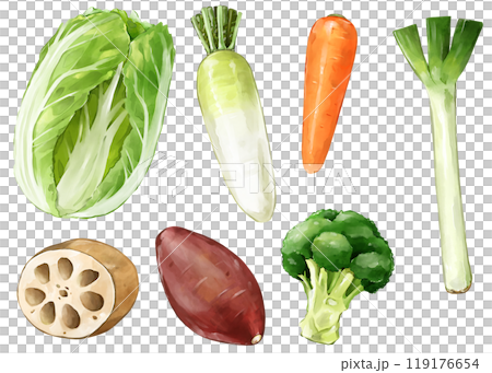 冬の野菜 119176654