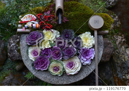 葉牡丹の花手水 葉牡丹の花手水 119176770