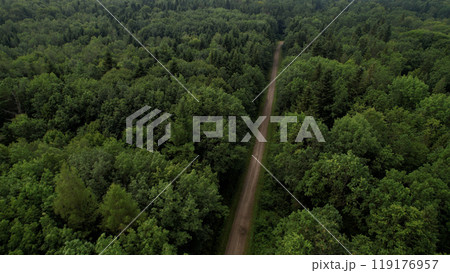 Dense deciduous forest and the road in it. Camera flight from above. Conservation of forests. Dense deciduous forest and the road in it. Camera flight from above. Conservation of forests. 119176957