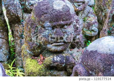 京都市右京区　愛宕念仏寺の表情豊かな羅漢さん 119177514