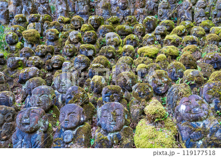 京都市右京区　愛宕念仏寺の表情豊かな羅漢さん 119177518
