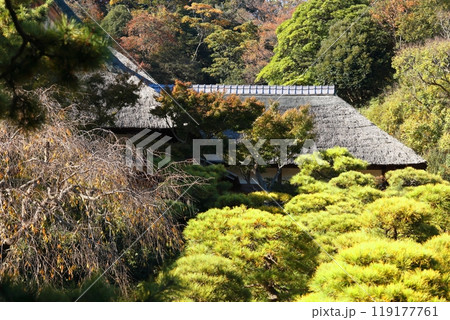 三渓園の風景 119177761